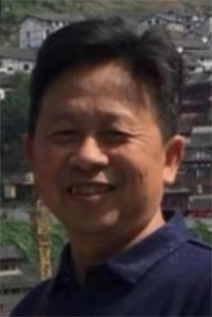 曾军(图1)