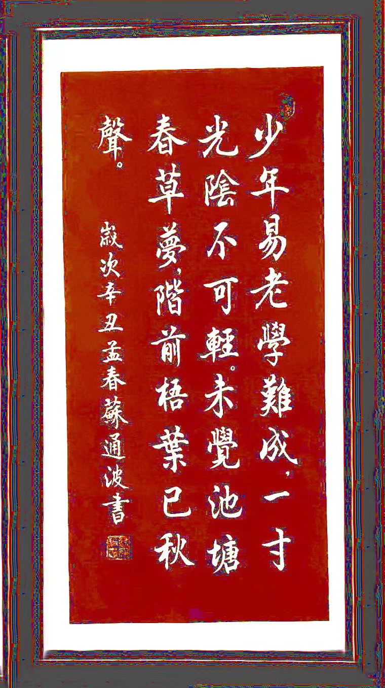 苏梦玲(图12)