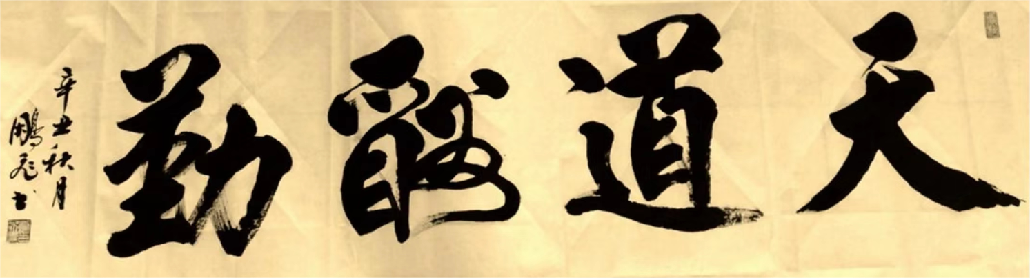 柳鹏飞(图4)