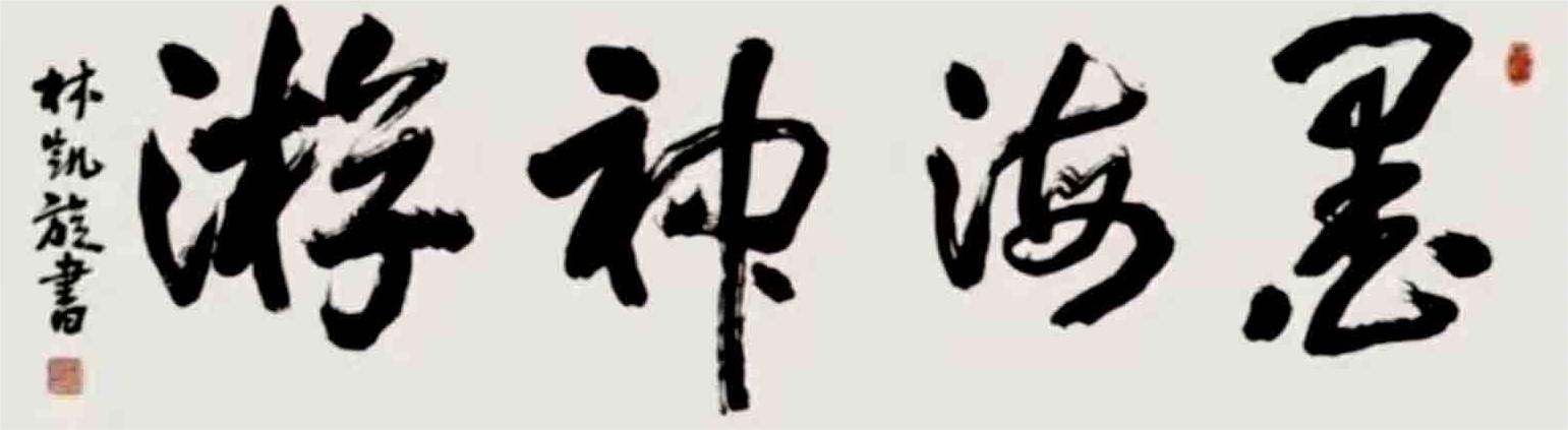 林凯旋（名誉主席）(图5)
