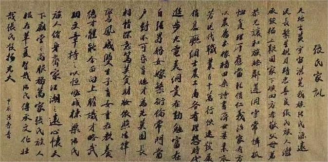 张春青（副主席）(图4)