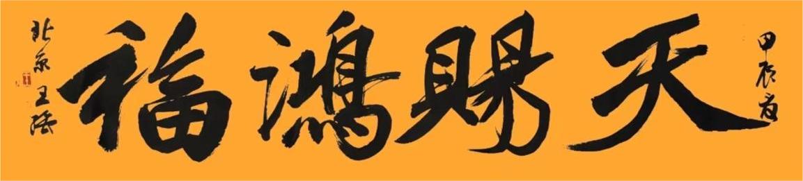 王强（名誉主席）(图4)