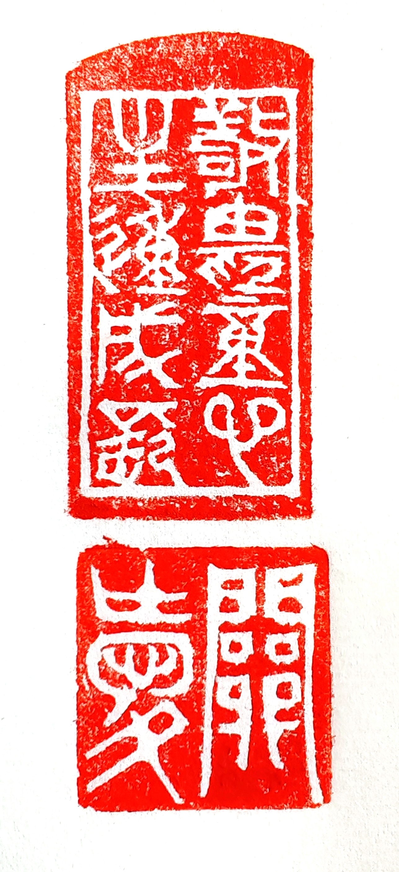 王强（名誉主席）(图19)