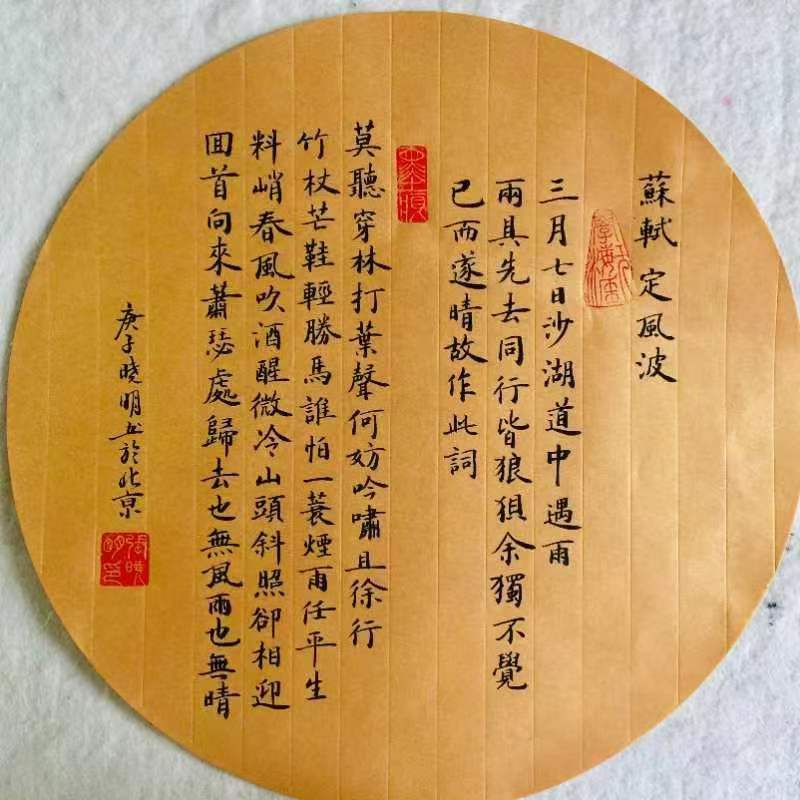 张晓明（副主席）(图8)