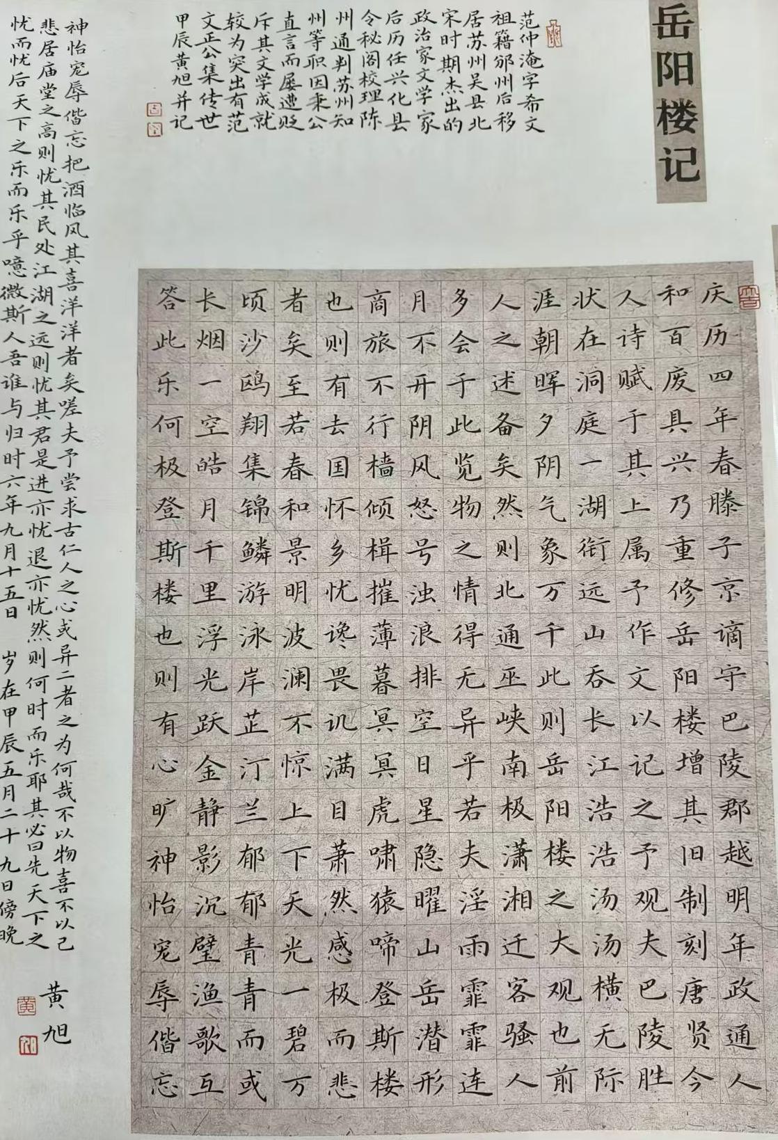 黄旭（副主席）(图9)