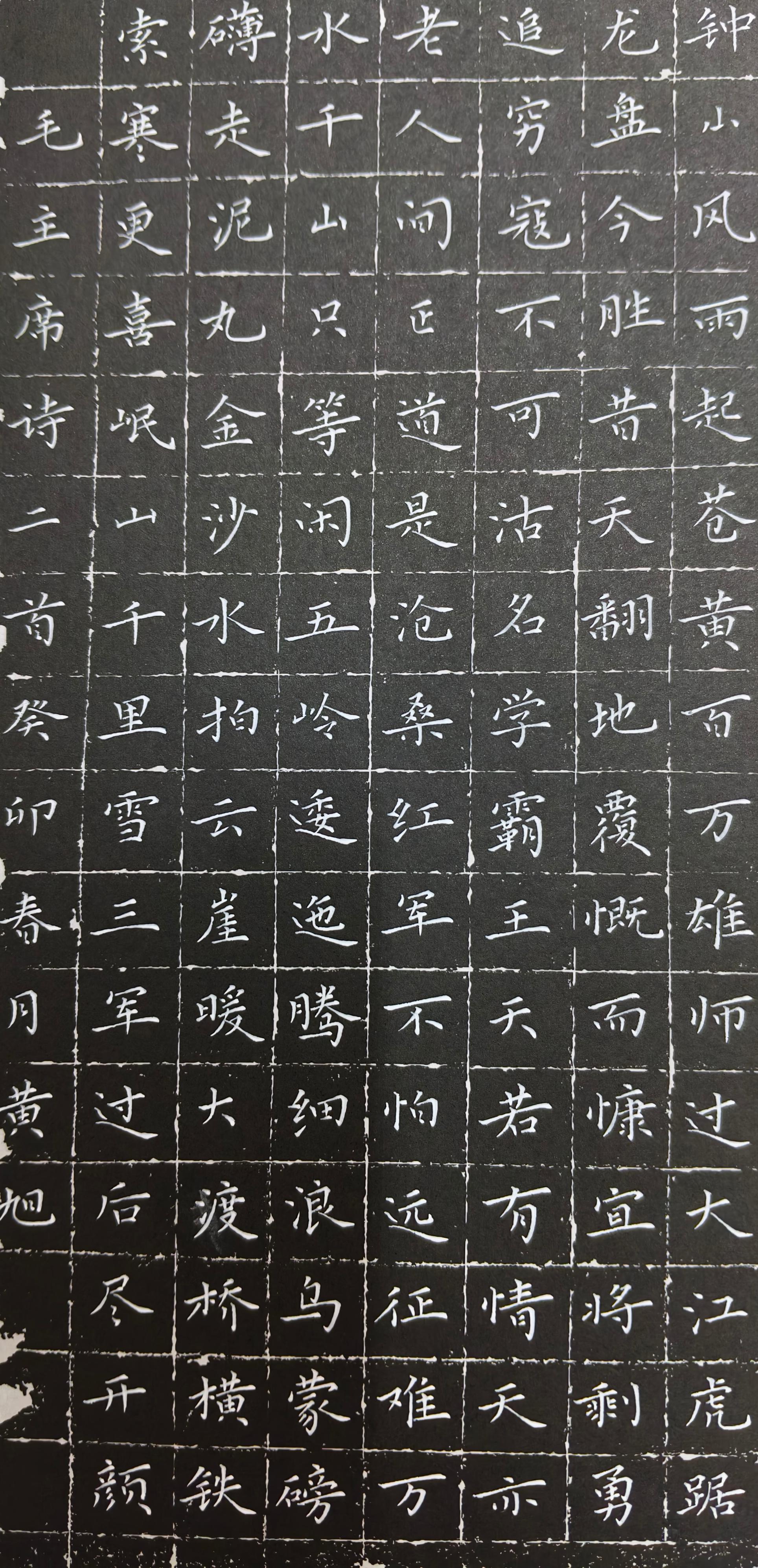 黄旭（副主席）(图8)