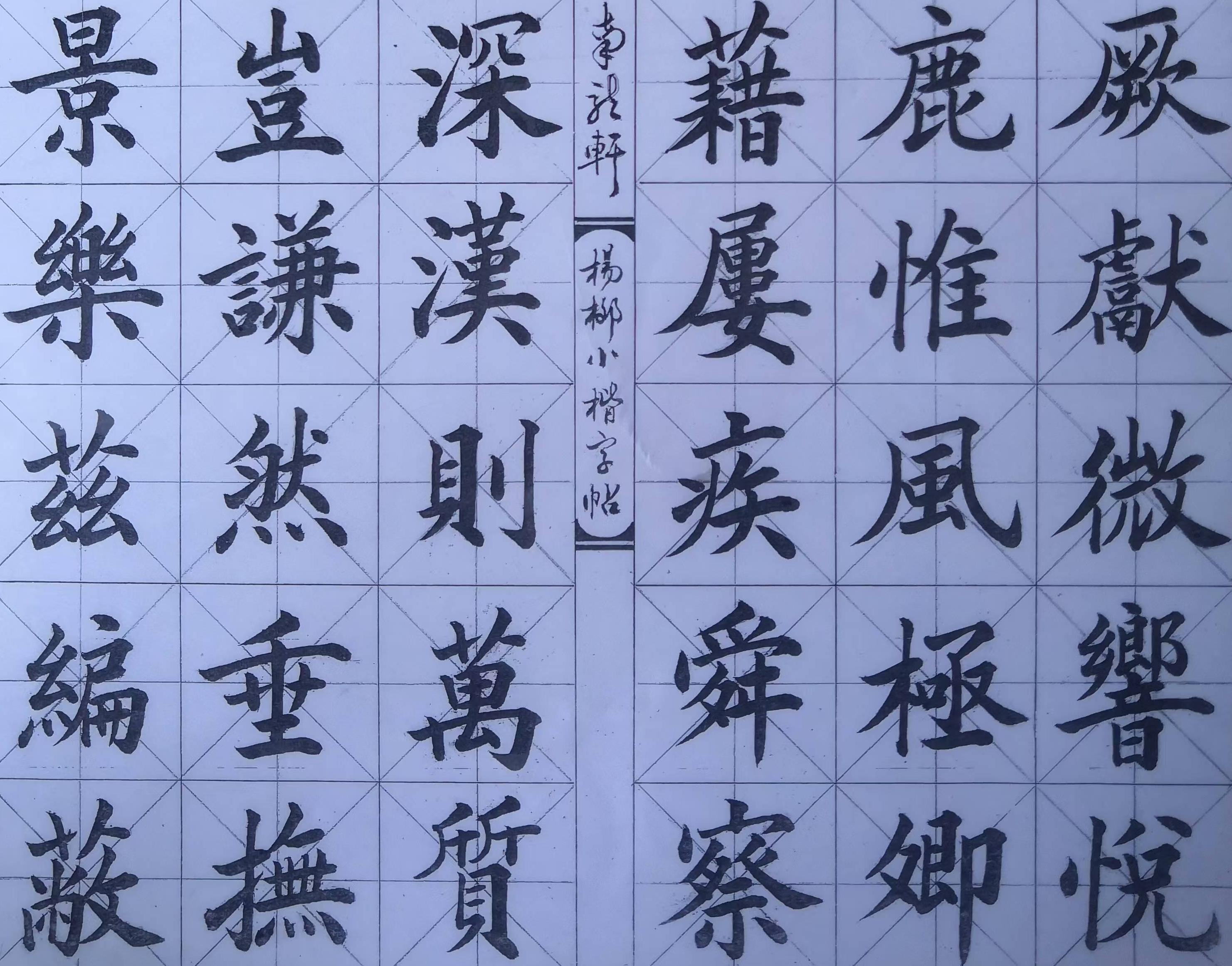 杨顺（常务理事）(图8)