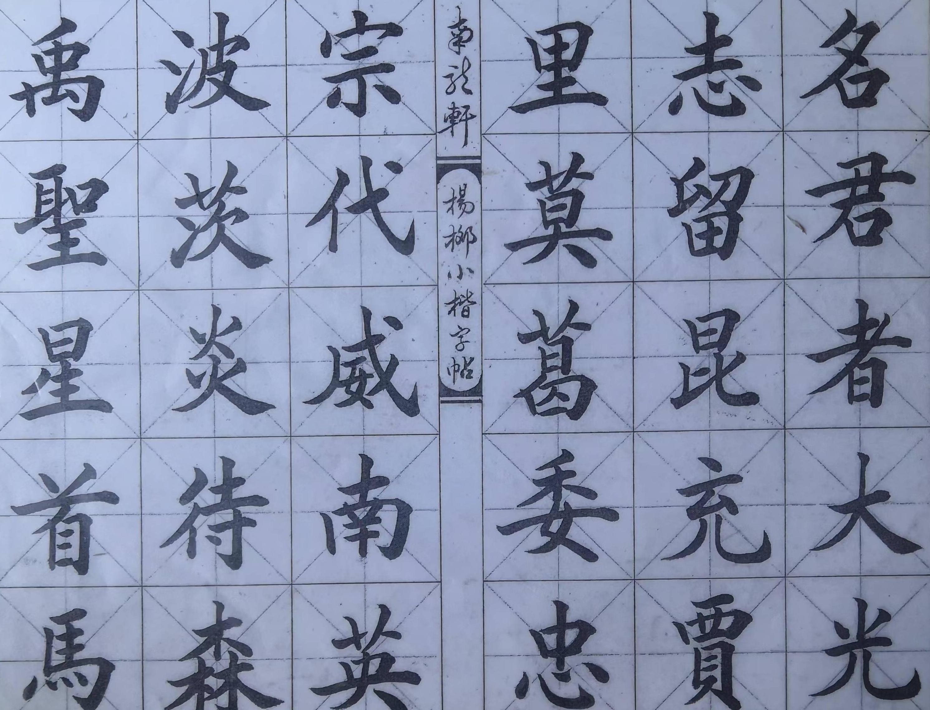 杨顺（常务理事）(图7)