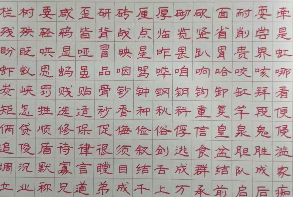 张灵奇（副主席）(图4)