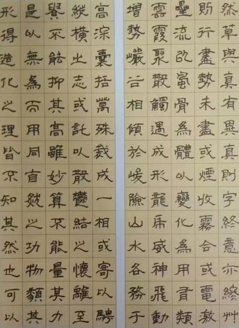 张灵奇（副主席）(图12)