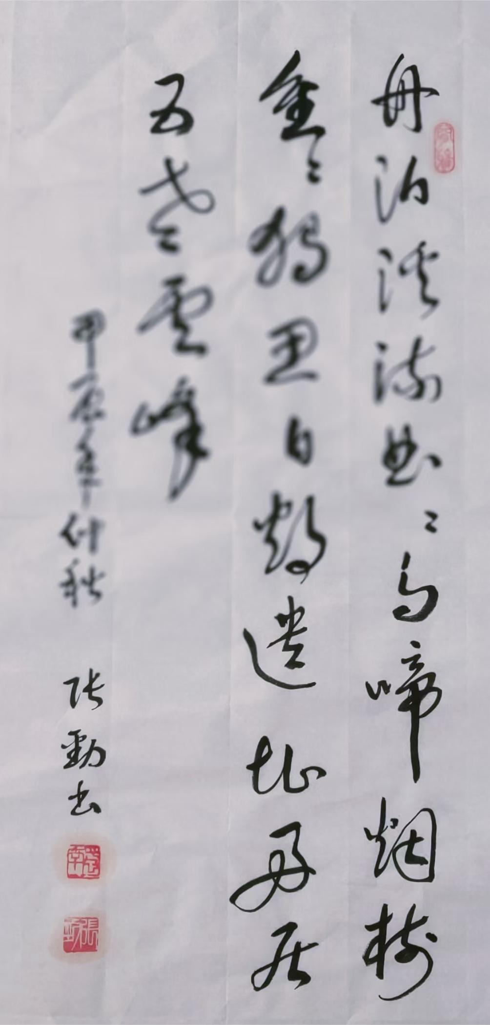 张劲（名誉主席）(图7)